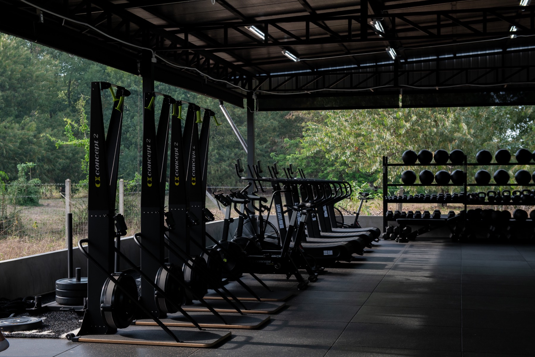 Strength and functional training floor with racks and rigs