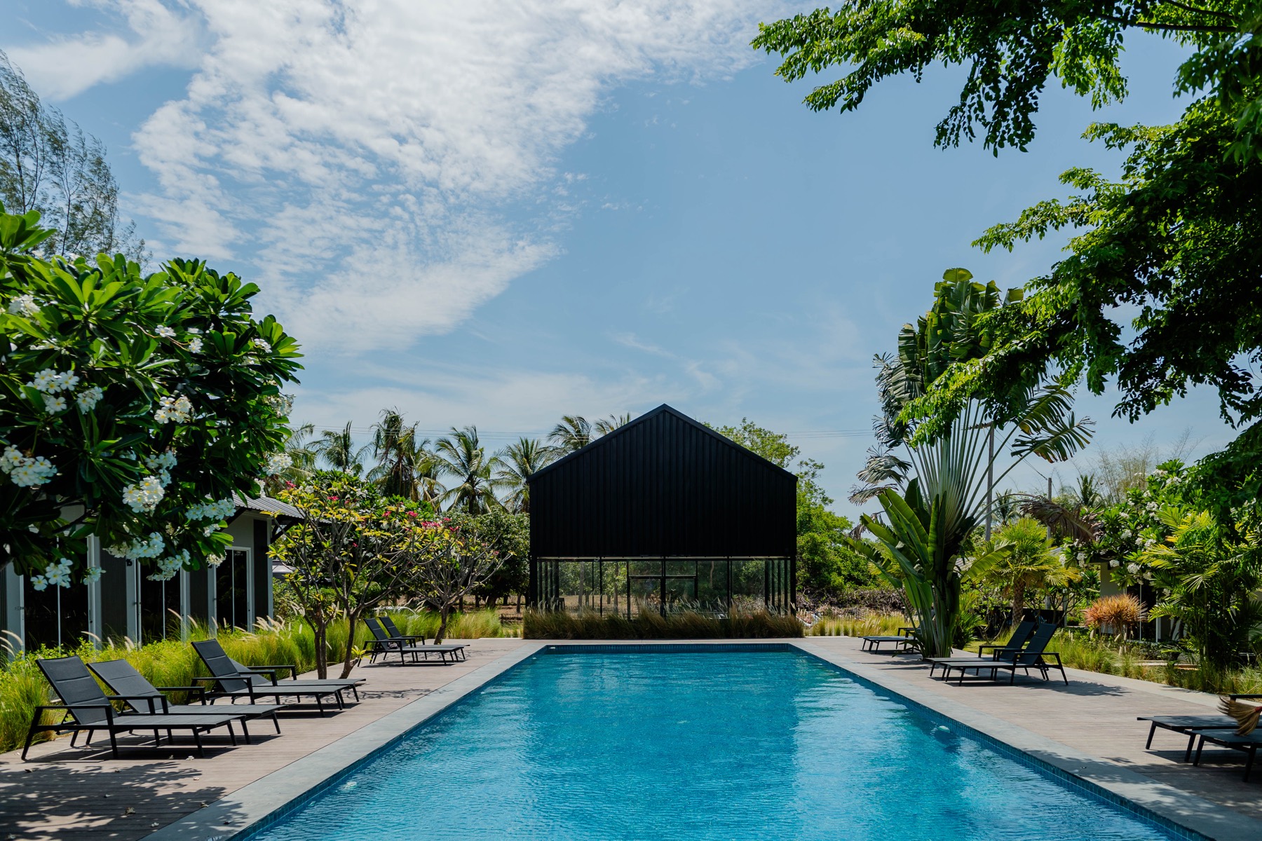 The 20 metre lap pool with loungers along the deck